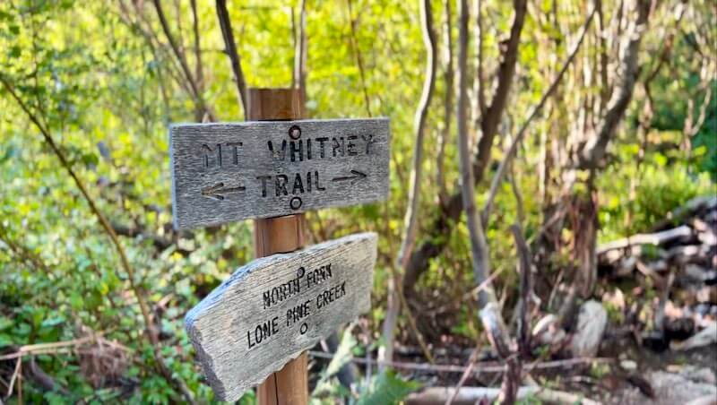 Wooden trail sign on the Mount Whitney Trail pointing to North Fork and Lone Pine Creek, surrounded by lush greenery.